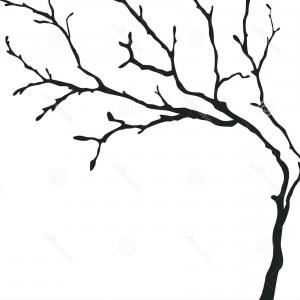 300x300 Vector Bare Tree Silhouettes Black Stylized Trees Without Leaves