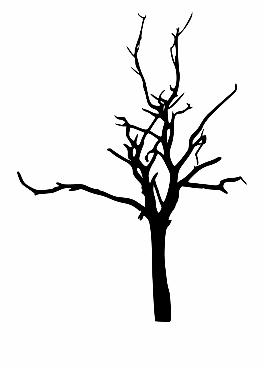 920x1284 Bare Tree Branch Png