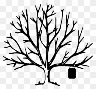 320x297 bare tree clip art free bare tree clipart