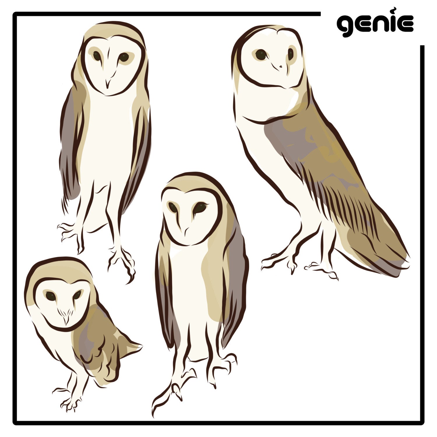 1500x1500 Barn Owl Bird Vector Graphic Illustration Hand Drawn Drawing Etsy