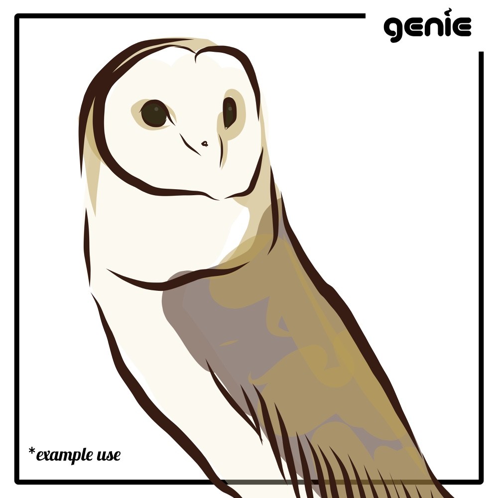 1000x1000 Barn Owl Bird Vector Graphic Illustration Hand Drawn Drawing