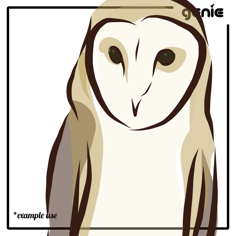 1000x1000 Barn Vorondolo Bird Vector Graphic Illustration Hand Nalaina