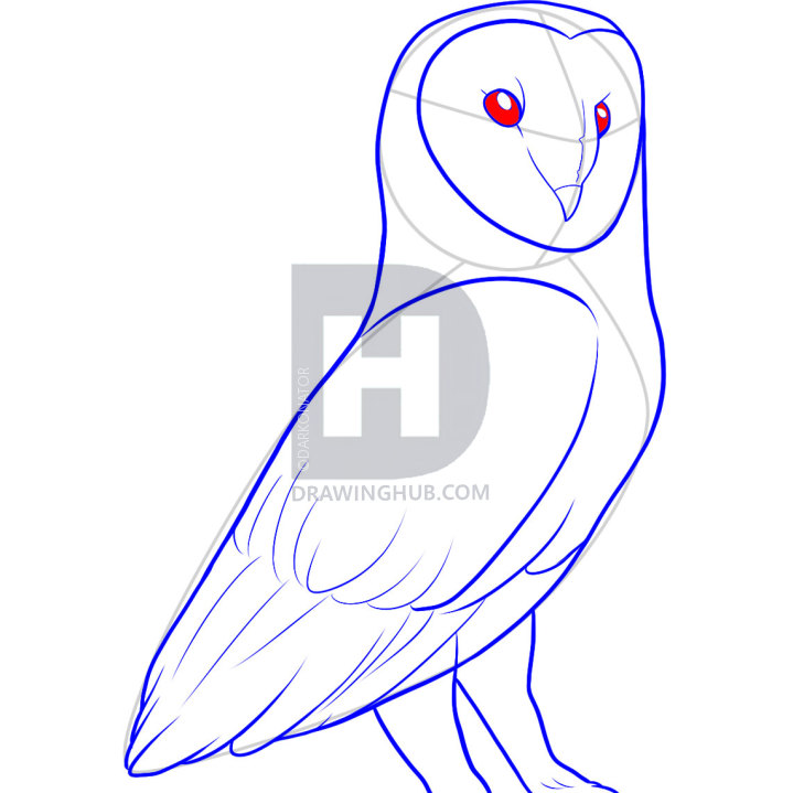 719x719 How To Draw A Barn Owl, Step