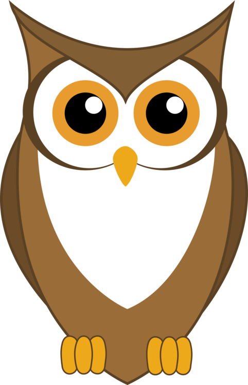 482x750 Barn Owl Drawing Silhouette Little Owl Cc0