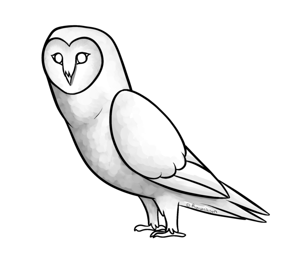 955x836 Collection Of Free Tea Drawing Owl Download On Ui Ex