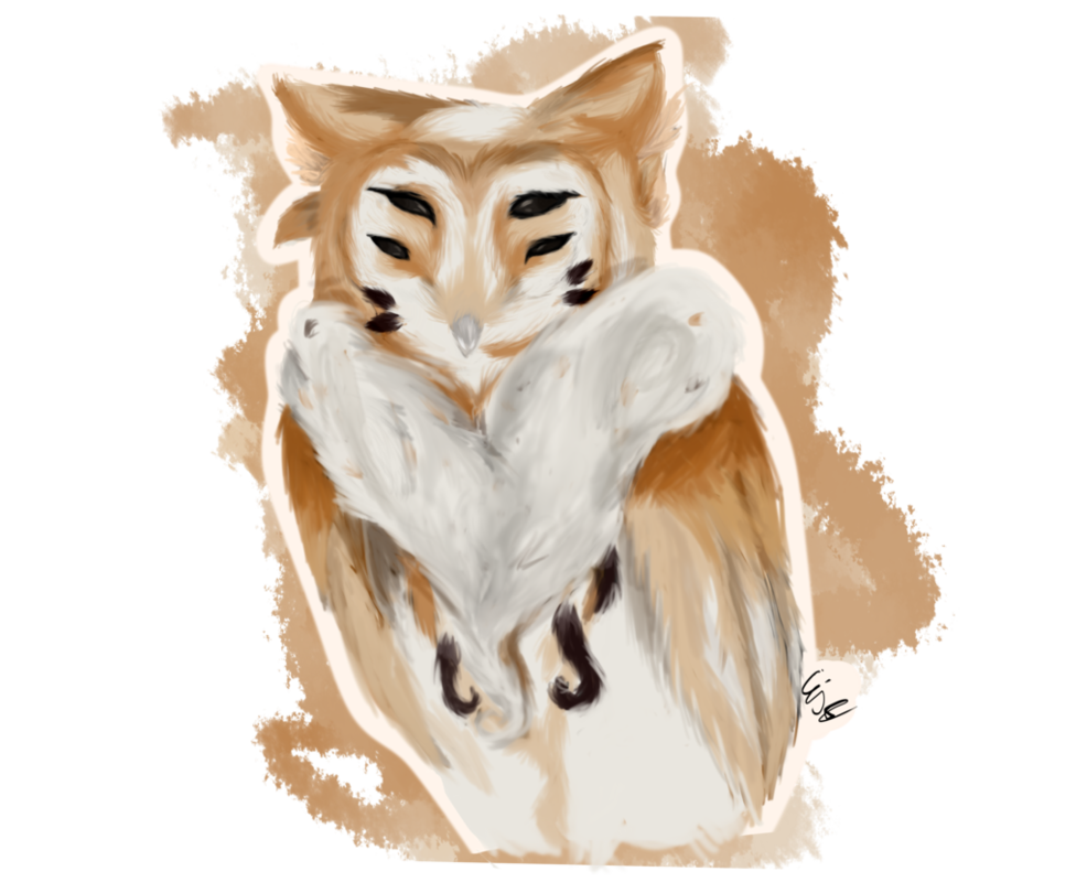 986x810 Download Barn Owl Png Image