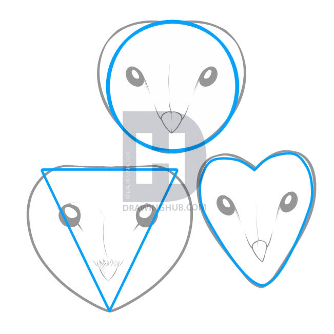 651x651 How To Draw A Barn Owl, Step