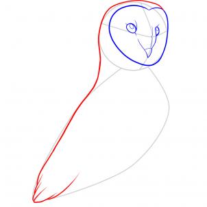 302x302 How To Draw A Barn Owl, Step