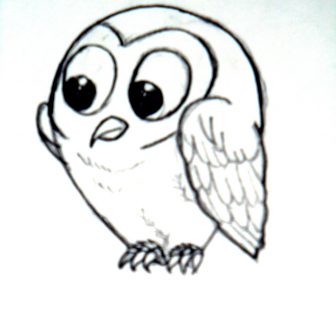 336x336 Owl Drawing Meme Ideas Easy Step