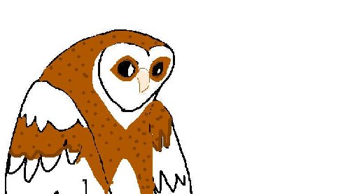 500x277 Animal Drawing Tutorial