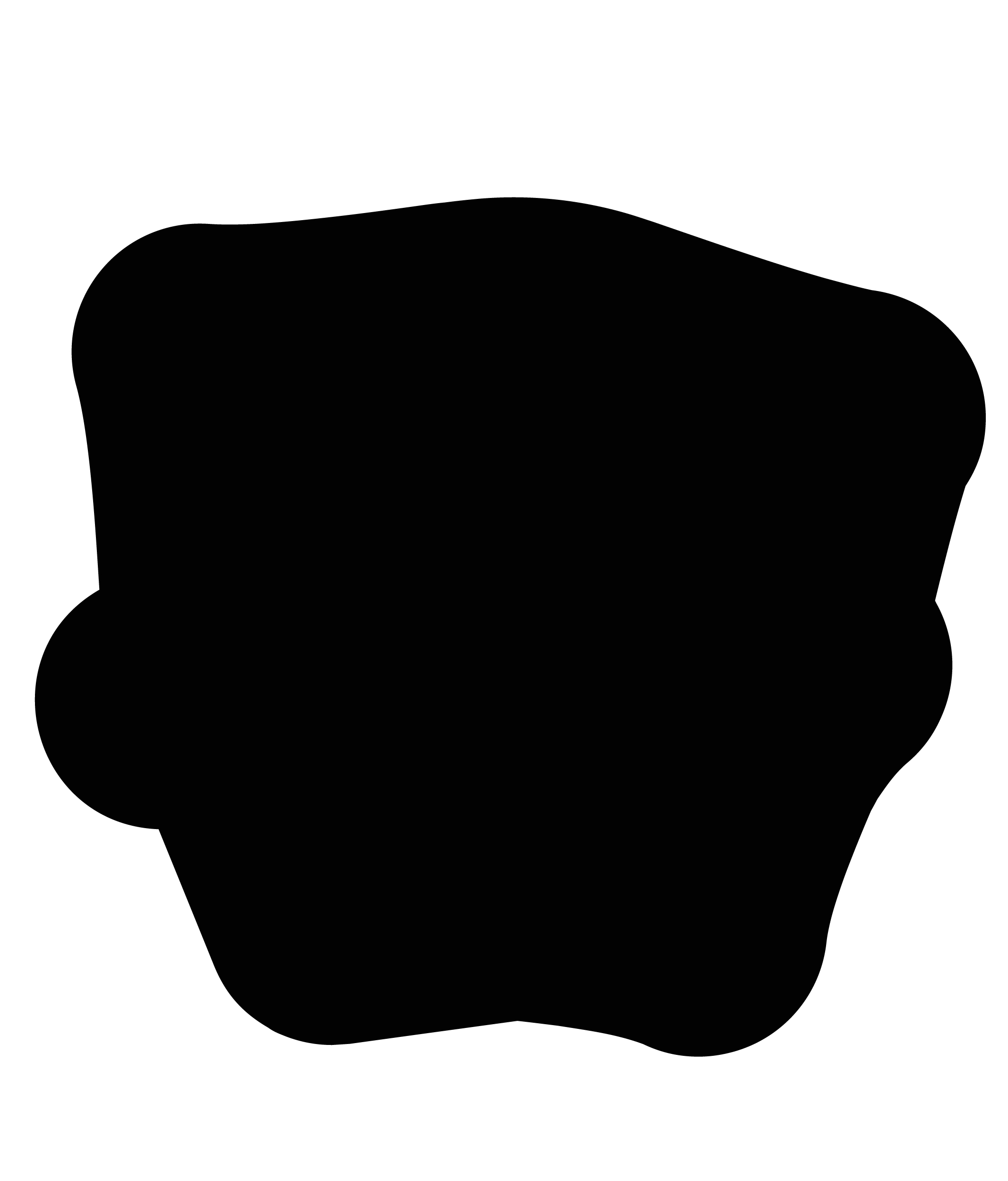 2133x2500 Poche Plans