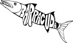 Barracuda Drawing