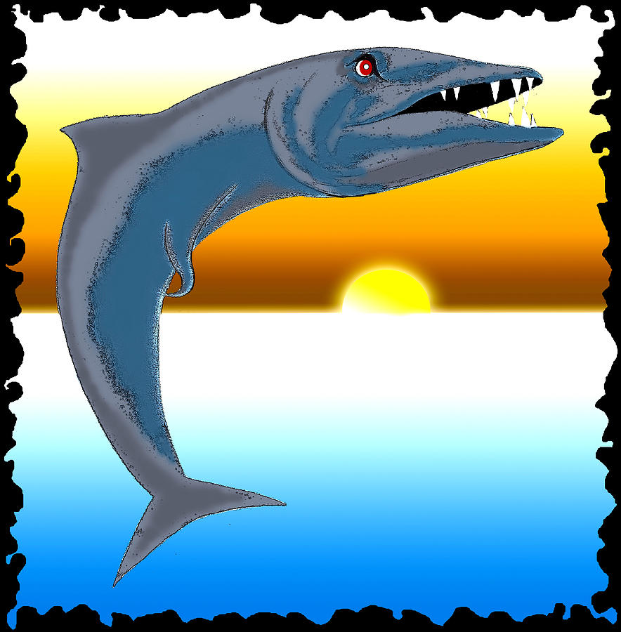 884x900 barracuda drawing