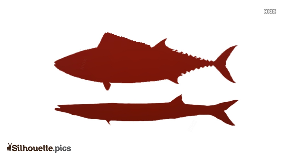 934x534 barracuda fish drawing silhouette silhouette pics