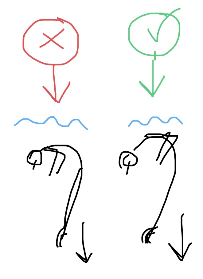 661x905 educational exercises for barracuda synkrolovers