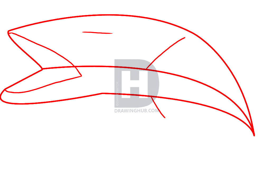 1045x676 how to draw a barracuda, step