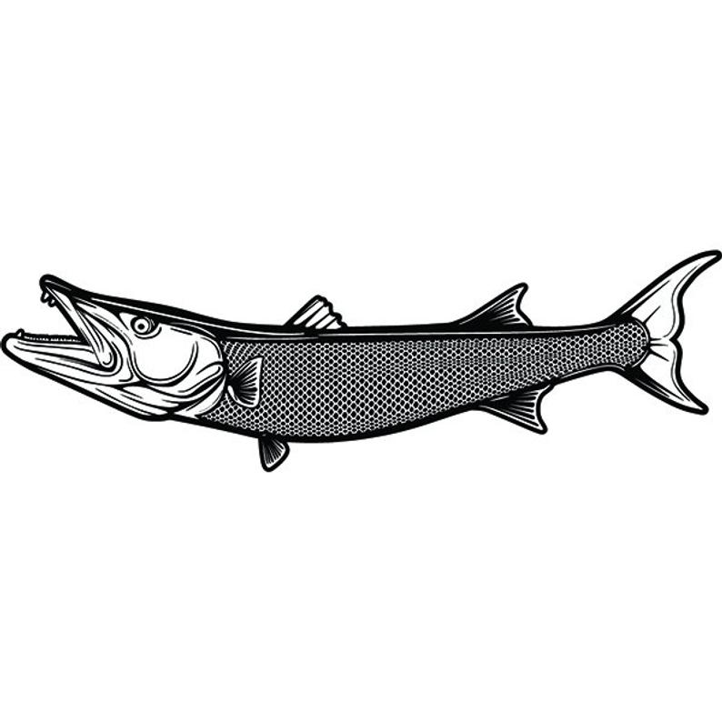 Barracuda Drawing | Free download on ClipArtMag