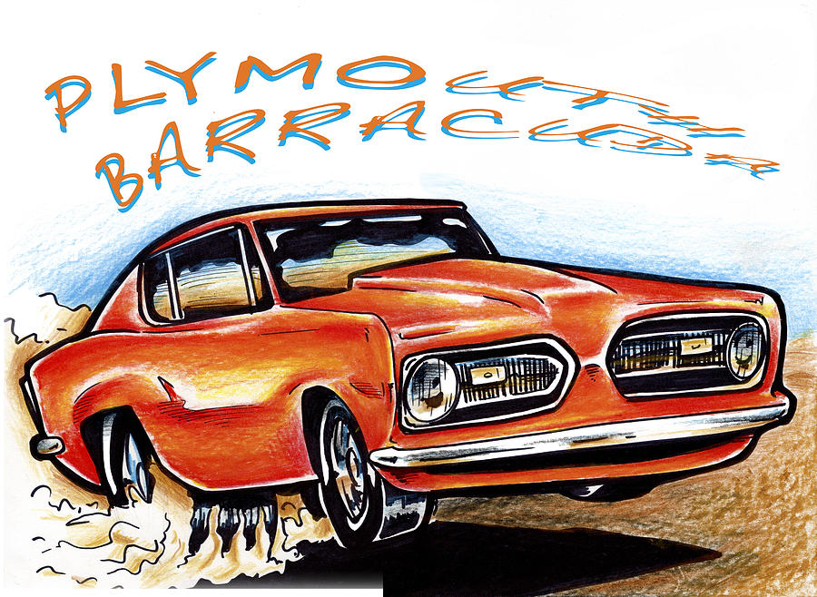 900x658 barracuda drawing