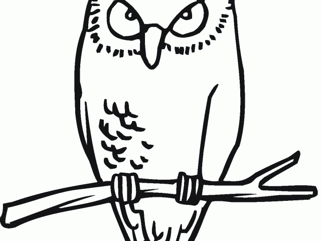 640x480 Free Horned Owl Clipart, Download Free Clip Art