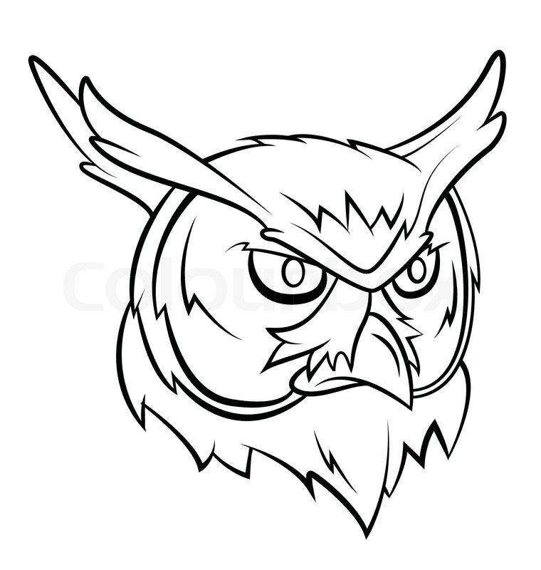 760x800 Images Of Owl Face Drawing Template