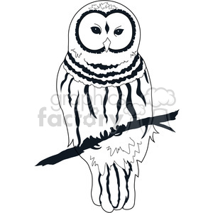 300x300 owl barred clipart royalty free clipart