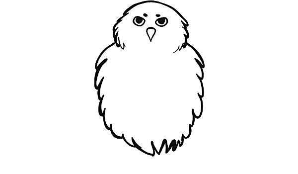 600x350 Magnet Cute Simple Black White Owl Bird Pen Sketch Art