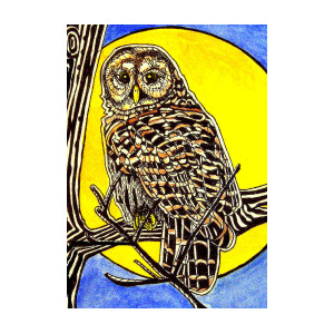 300x300 barred owl painting