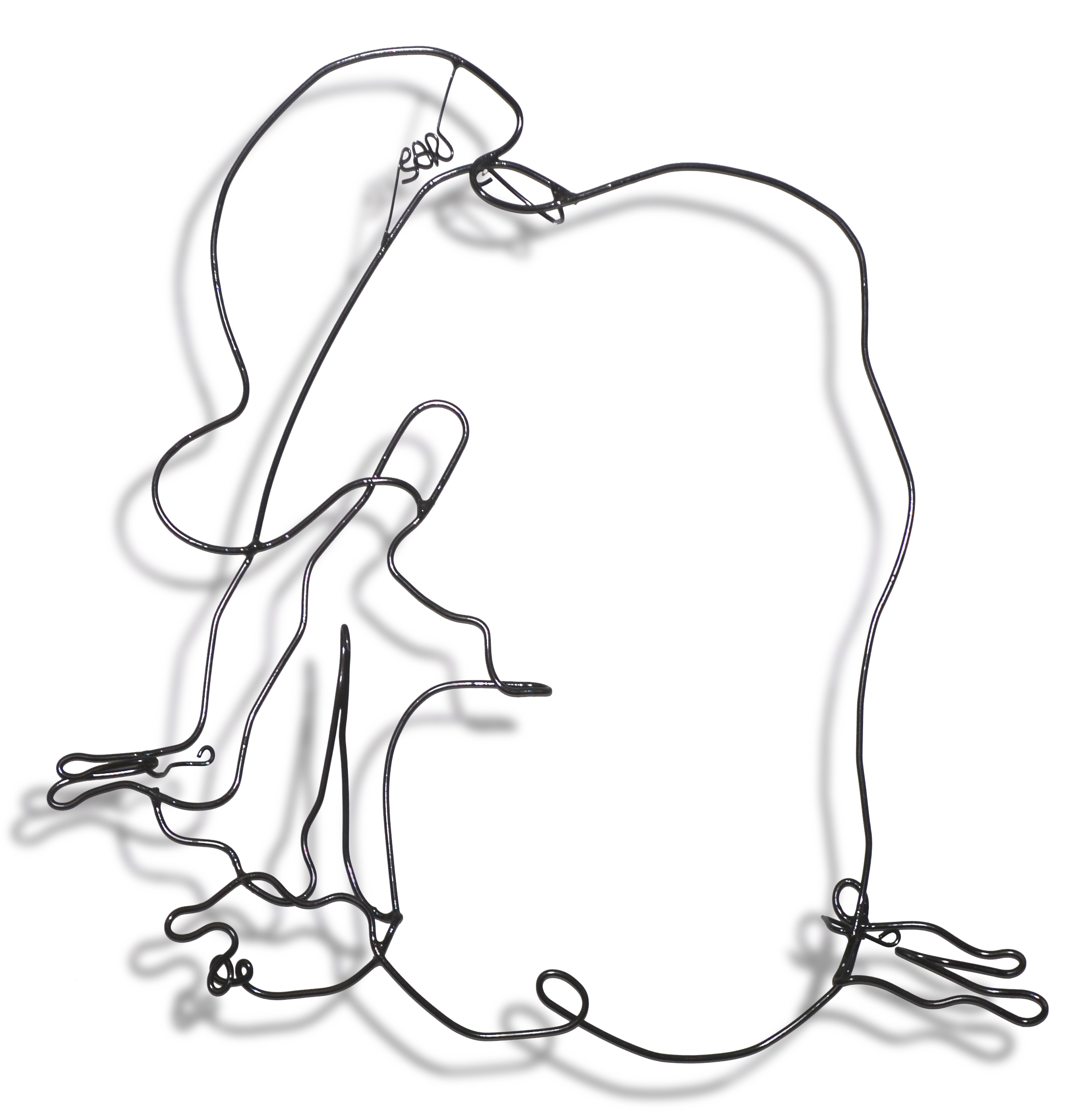 2256x2300 Wire Wall Murals