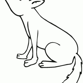 336x336 Coyote Cute Drawing Images Directed Base Easy Baby Cool