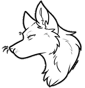 339x350 Cute Wolf Plushie Base Drawing