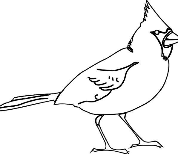 Basic Bird Drawing | Free download on ClipArtMag