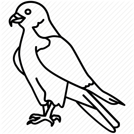 512x512 Collection Of Free Falcon Drawing Basic Download On Ui Ex