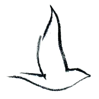 400x400 Bird Outline Template