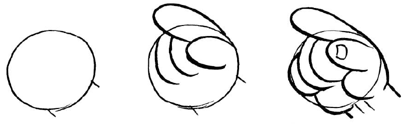 808x248 How To Draw Cartoon Hands Guide To Drawing Comic Hands How