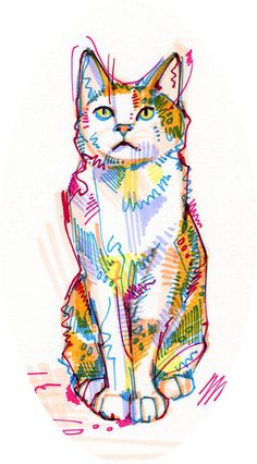 236x426 How To Draw Cats Monika Zagrobelna's Detailed Approach Monika