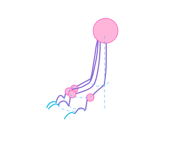 600x468 How To Draw Animals Dogs And Wolves, And Their Anatomy