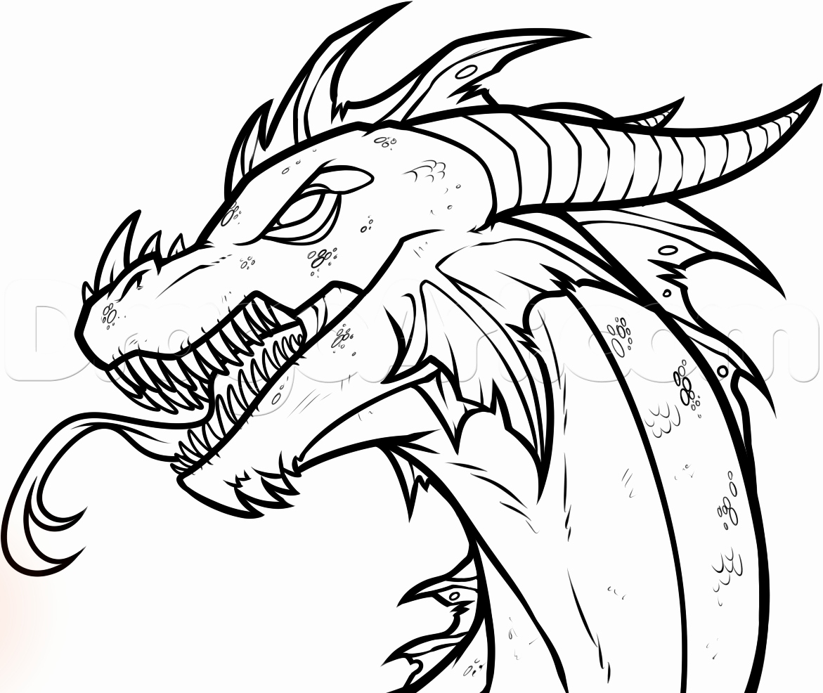 Basic Dragon Drawing | Free download on ClipArtMag