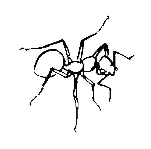 510x506 Simple Ant Drawing Basic Ant Drawing