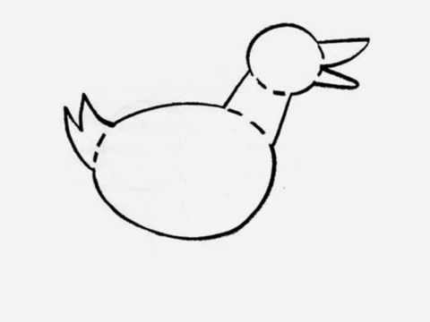 480x360 Basic Drawing