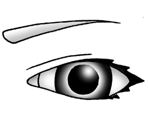 300x250 George's Way