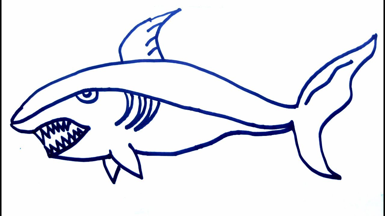 1280x720 How To Draw Big Shark Fish,color Pages,draw Shark