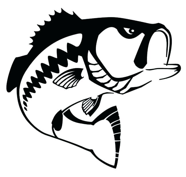 650x622 Best Photos Of Basic Fish Outline Simple Fish Shape Coloring