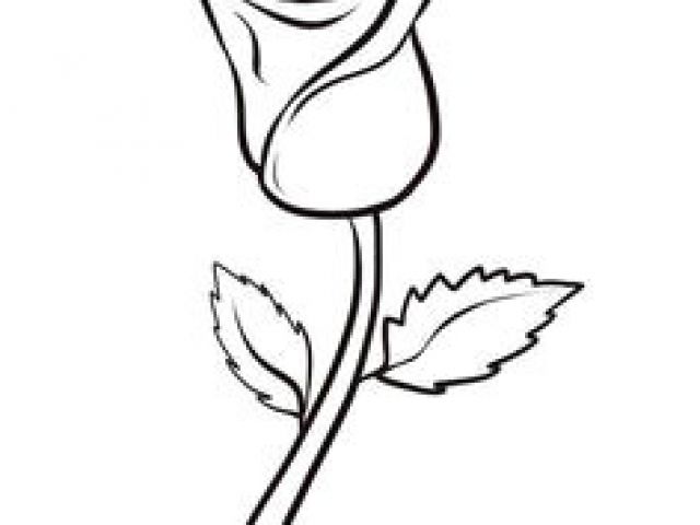 640x480 Draw A Basic Rose Best How To Draw Rose Images Drawings