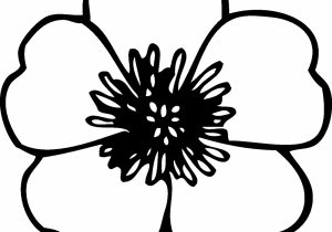 300x210 Simple Flower To Draw Draw A Basic Flower Simple Flower Drawing
