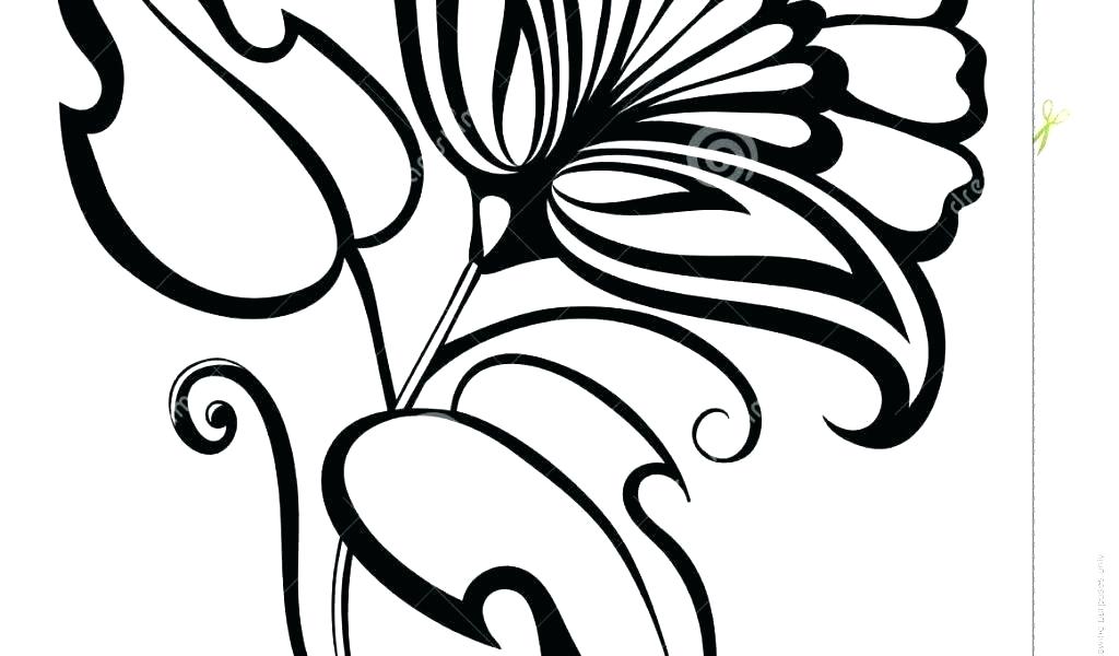 1024x600 Flower Drawings Easy