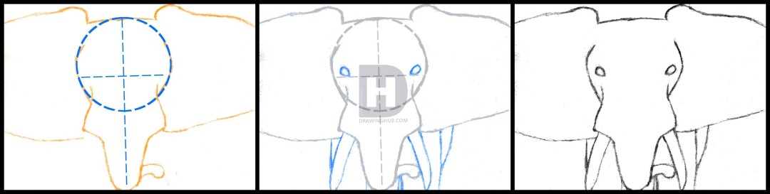 1080x273 How To Draw An Elephant Head, African Elephant, Step