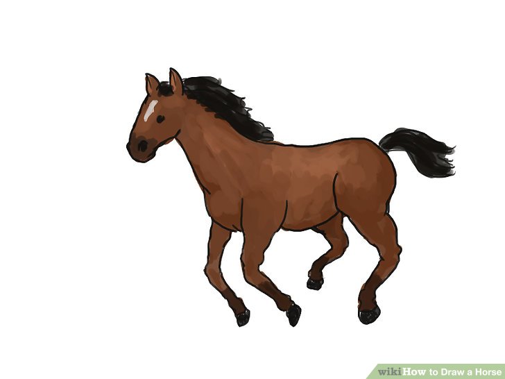 Basic Horse Drawing