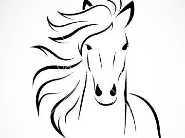 640x480 Drawn Horse Basic