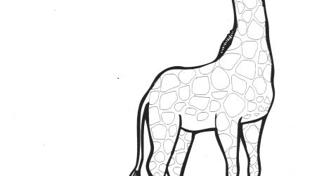 471x250 Basic Animals To Draw Cartoon Step