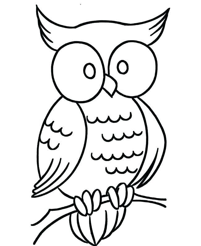 650x796 Owl Outline Drawing Owl Outline Template Format Cover Owl Outline